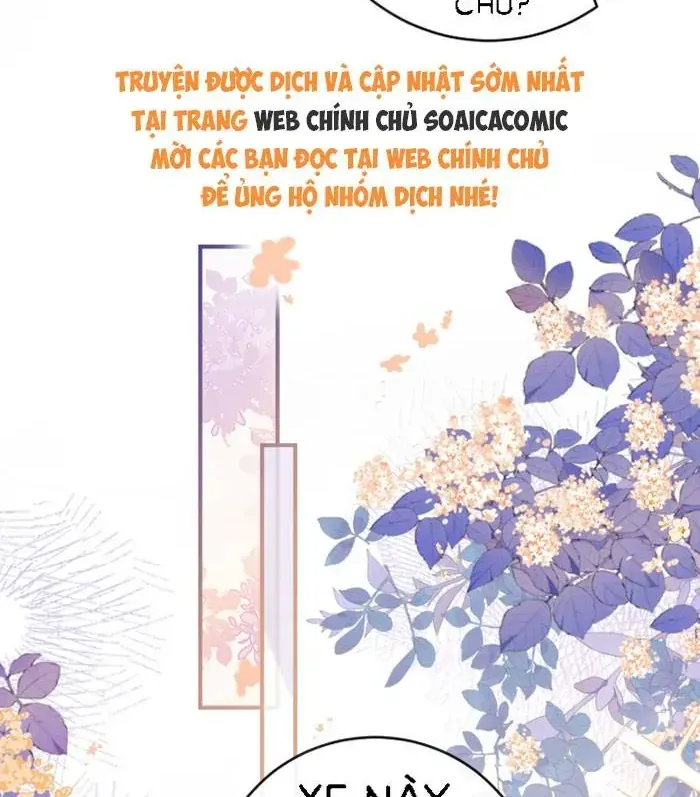 Chapter 31