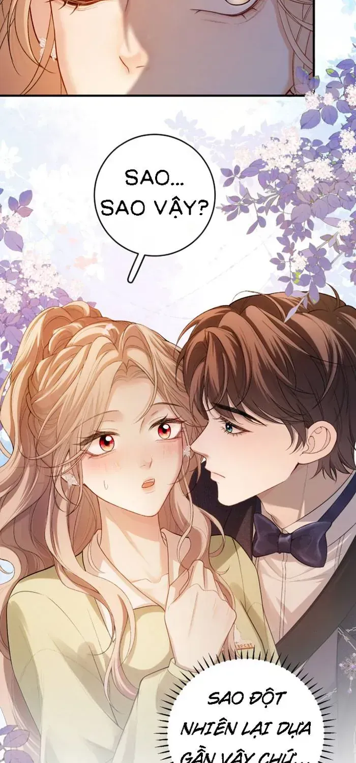 Chapter 31