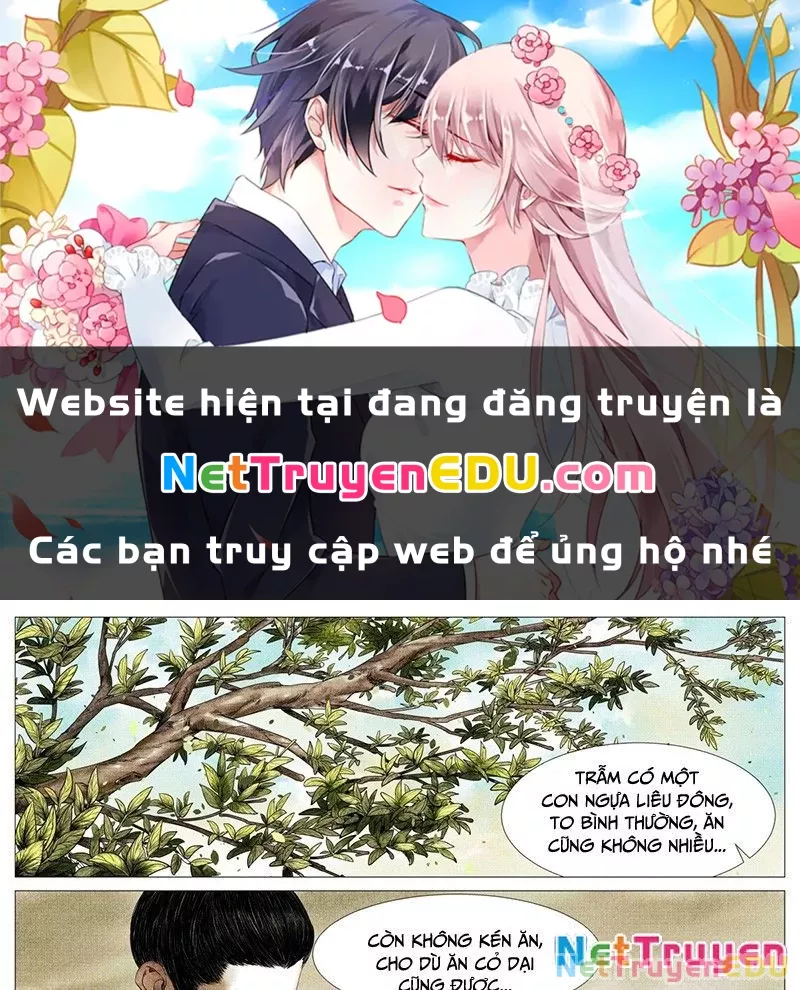 Chapter 146